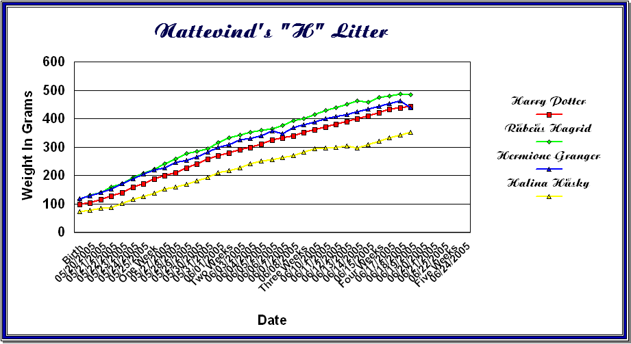 Norwegian Forest Cat Weight Chart By Age at Hope Segura blog